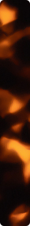 CHM409