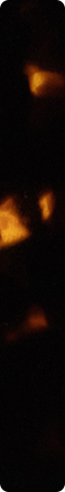 CHM718