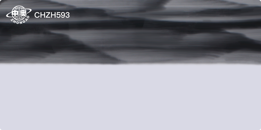 CHZH593