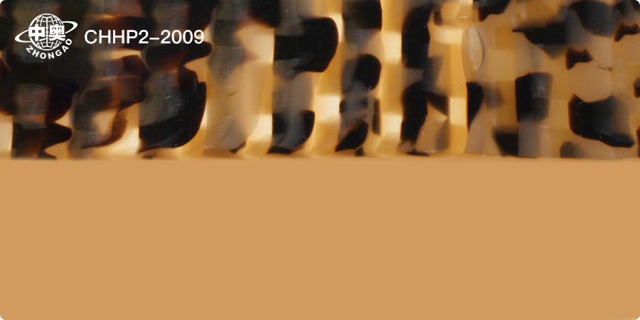 CHHP2-2009