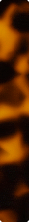 CHHJ051