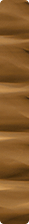 CHR18006